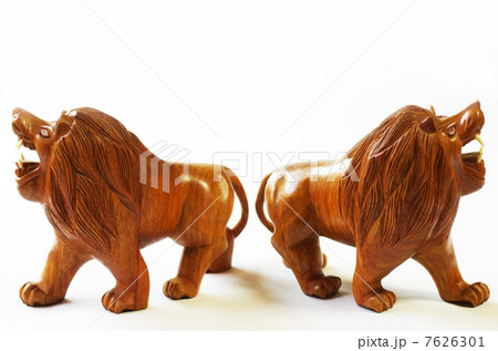 k50036 k50036 7626301