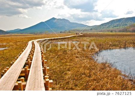 木道･草紅葉･池塘･燧ヶ岳（尾瀬ヶ原） 7627125