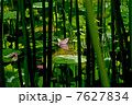 曳航 7627834