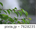 雨　vol.3 7628235