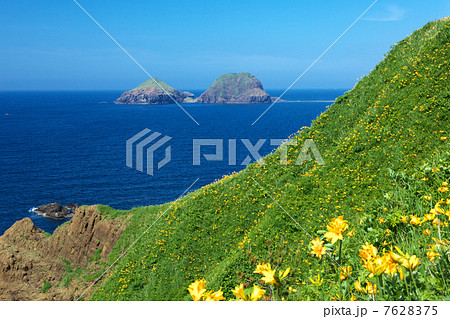 新潟　佐渡市　大野亀 7628375