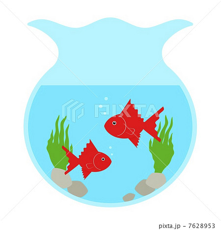 金魚鉢 7628953