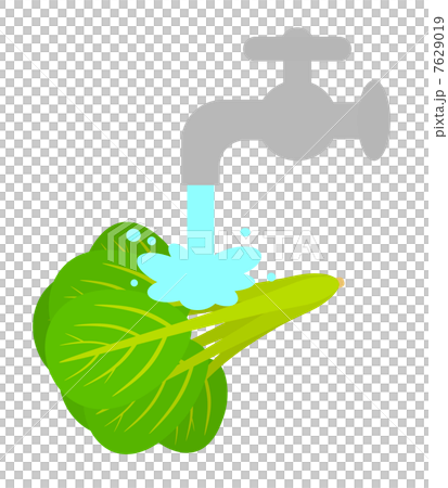 洗蔬菜 7629019
