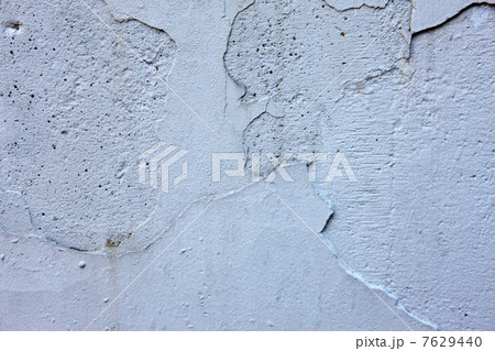 葉っぱと地球儀 7629440