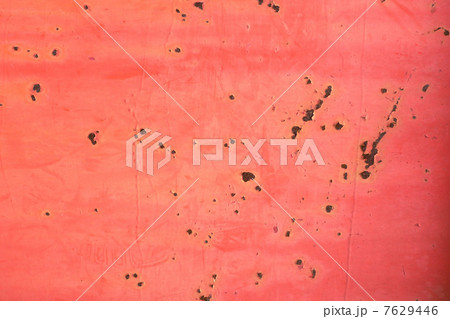 葉っぱと地球儀 7629446