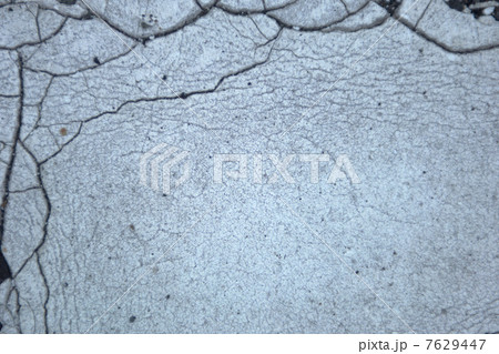 葉っぱと地球儀 7629447