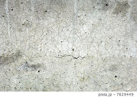 葉っぱと地球儀 7629449