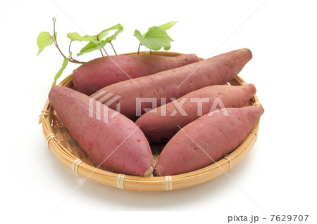 サツマイモ 7629707