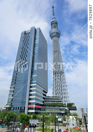 東京スカイツリー 7629897