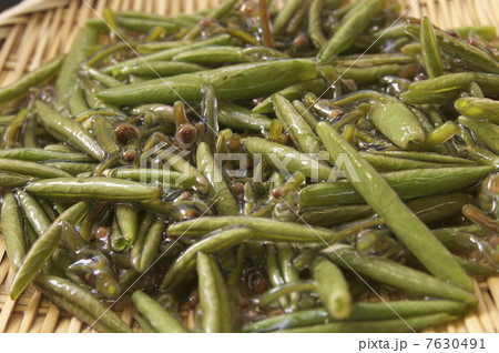 摘みたて新鮮なジュンサイ 摘みたて新鮮なジュンサイ 7630491