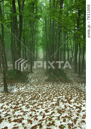 青森　青森市　八甲田 7631006