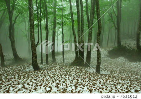 青森　青森市　八甲田 7631012