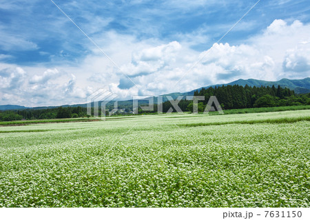 福島　喜多方市　塩川町 7631150