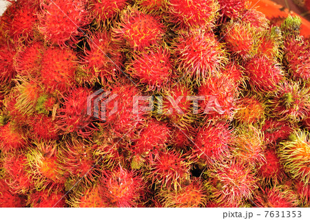 熱帯の果実 7631353