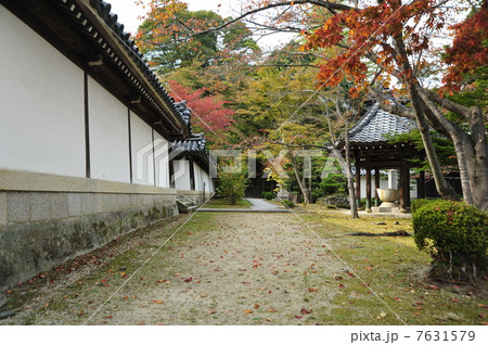 滋賀 西教寺の秋 滋賀 西教寺の秋 7631579