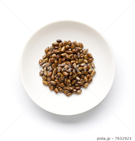 えびす草（決明子） 7632923