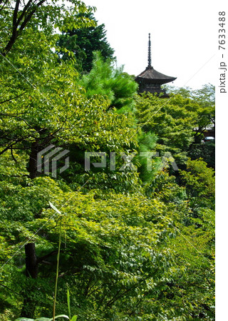 清水寺の舞台から子安塔を眺める(清水寺/京都市東山区清水) 清水寺の舞台から子安塔を眺める(清水寺/京都市東山区清水) 7633488