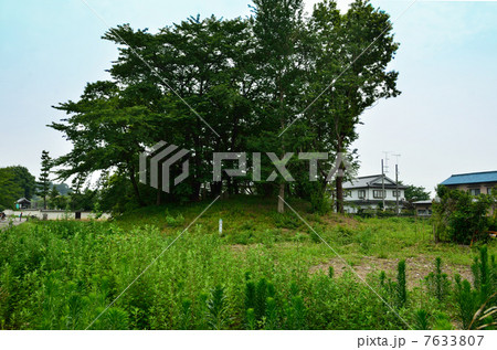 さきたま散歩・愛宕山古墳 7633807