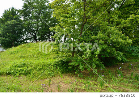 さきたま散歩・愛宕山古墳 7633810