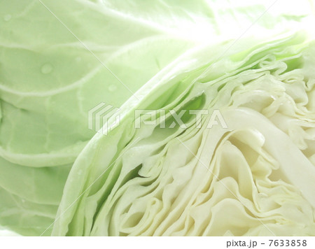 キャベツ　 7633858