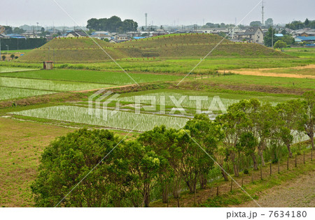 さきたま散歩・稲荷山古墳より将軍山古墳を見る さきたま散歩・稲荷山古墳より将軍山古墳を見る 7634180