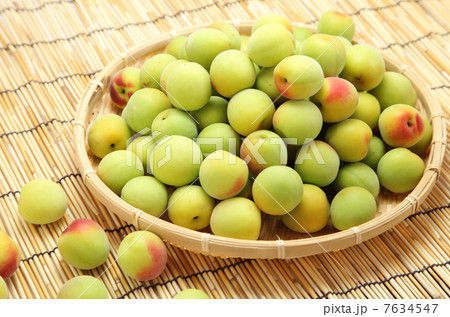 青梅 青梅 7634547