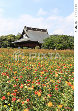 べに花と長福寿寺 べに花と長福寿寺 7635336