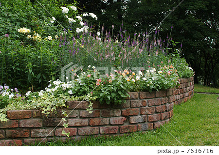 イングリッシュガーデン ガーデン バラ 花壇 庭 オブジェ 英国式庭園 グリーン 煉瓦の写真素材