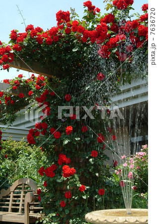 イングリッシュガーデン ガーデン バラ 花壇 庭 噴水 英国式庭園