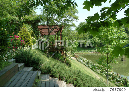 イングリッシュガーデン　森　グリーン　オブジェ　英国式庭園　池　バラ　花壇 7637009