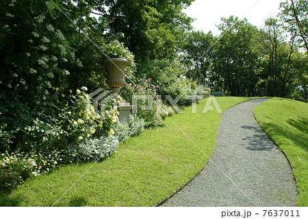 花 緑色 エクステリア 薔薇 イングリッシュガーデン 芝生 ガーデン オブジェ 英国式庭園 バラの写真素材
