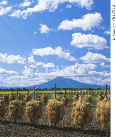 田園風景 7637052