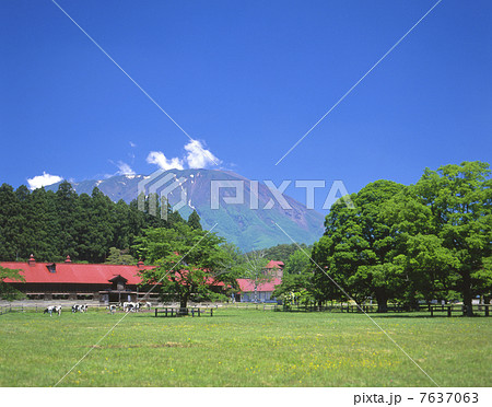 小岩井農場 小岩井農場 7637063