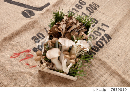 きのこの盛り合せ きのこの盛り合せ 7639010