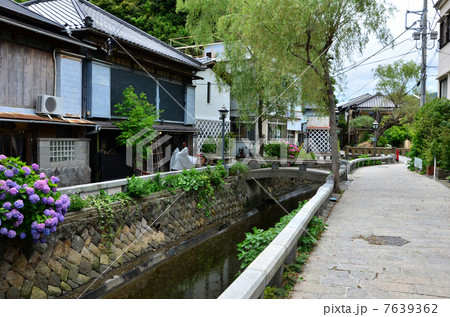 下田　ペリーロード（2013.6） 7639362