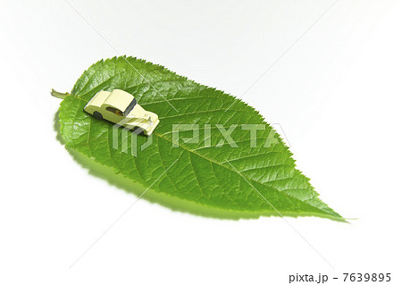 葉っぱと木の車のエコなイメージ 7639895