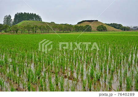 さきたま散歩・稲荷山古墳 さきたま散歩・稲荷山古墳 7640289