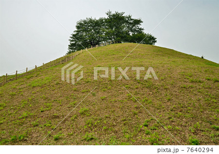 さきたま散歩・丸墓山古墳 7640294