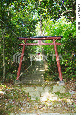 万葉の森に抱かれた阿賀神社 万葉の森に抱かれた阿賀神社 7640824