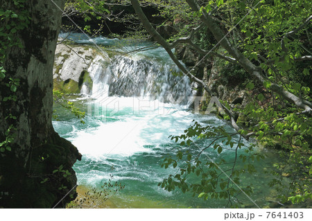 照葉峡 照葉峡 7641403