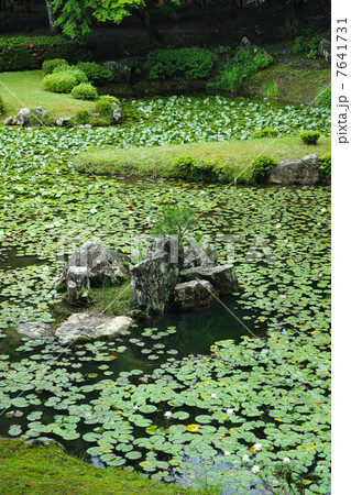 常栄寺雪舟庭 常栄寺雪舟庭 7641731