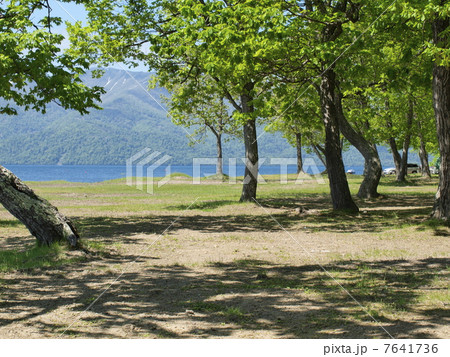 初夏の屈斜路湖砂湯キャンプ場 7641736