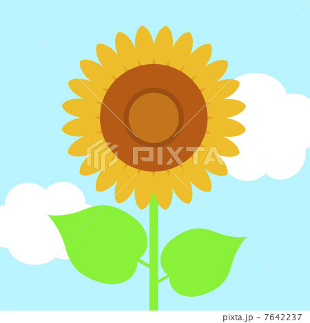 ひまわり ひまわり 7642237