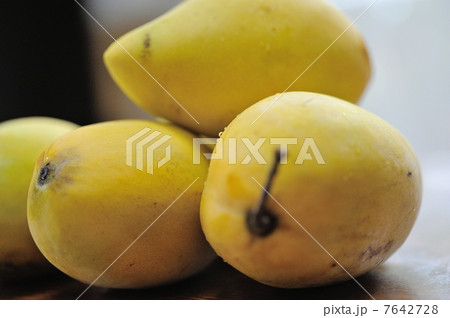 東南アジアの果物　マンゴー　ベトナム産 7642728