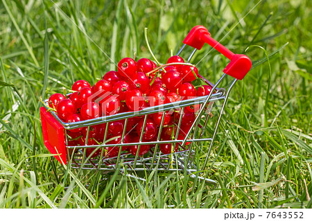 Shopping cart with red currant 7643552