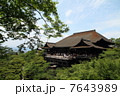 清水寺　清水の舞台 7643989