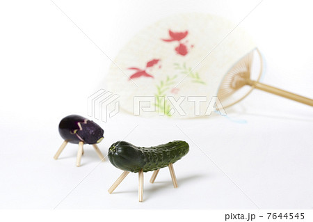 精霊馬 精霊馬 7644545