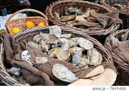 fresh oysters at market 7645400