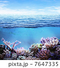 Sea underwater 7647335