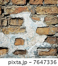 Wall 7647336